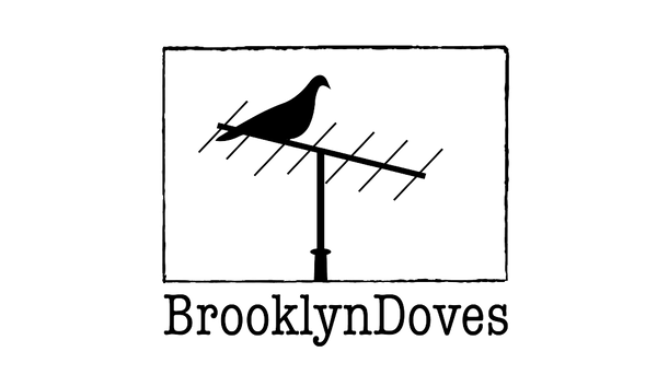 BrooklynDoves logo